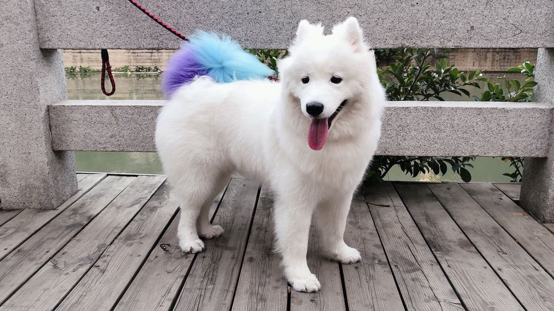 FIFA世俱杯-科比的“曼巴精神”如何影响全球年轻一代？，科比讲述曼巴精神