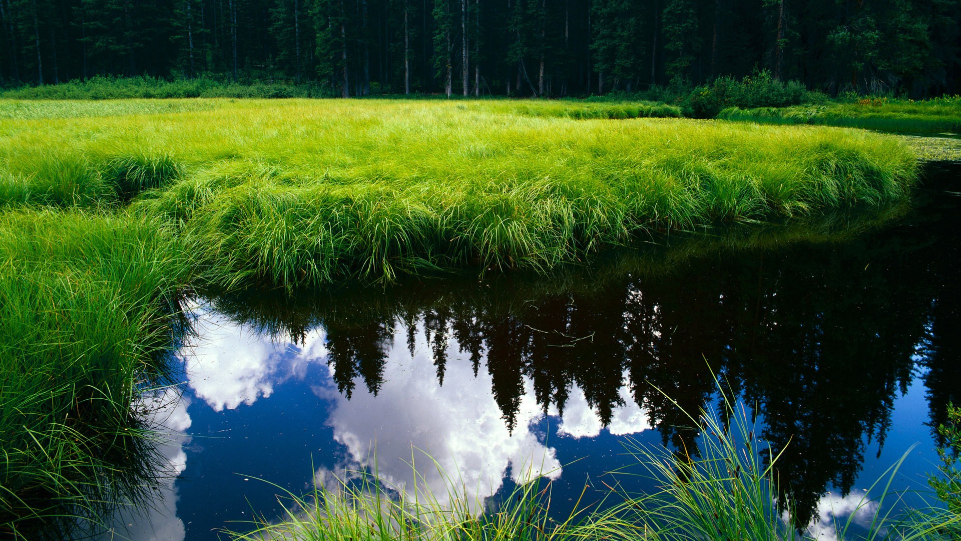 原州东浦新世代替补席深度提升,东原地产新蒲