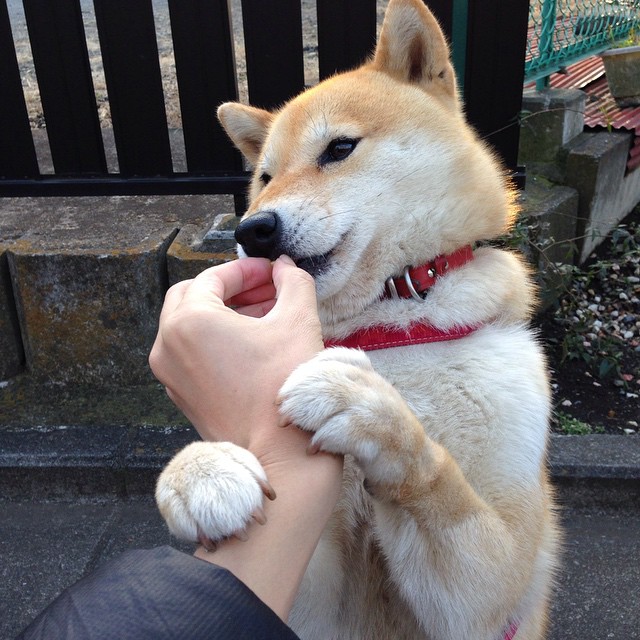 世俱杯直播在线观看免费-塞浦路斯战平克罗地亚，意外的平局或给小组赛增添不确定因素，塞浦路斯争端