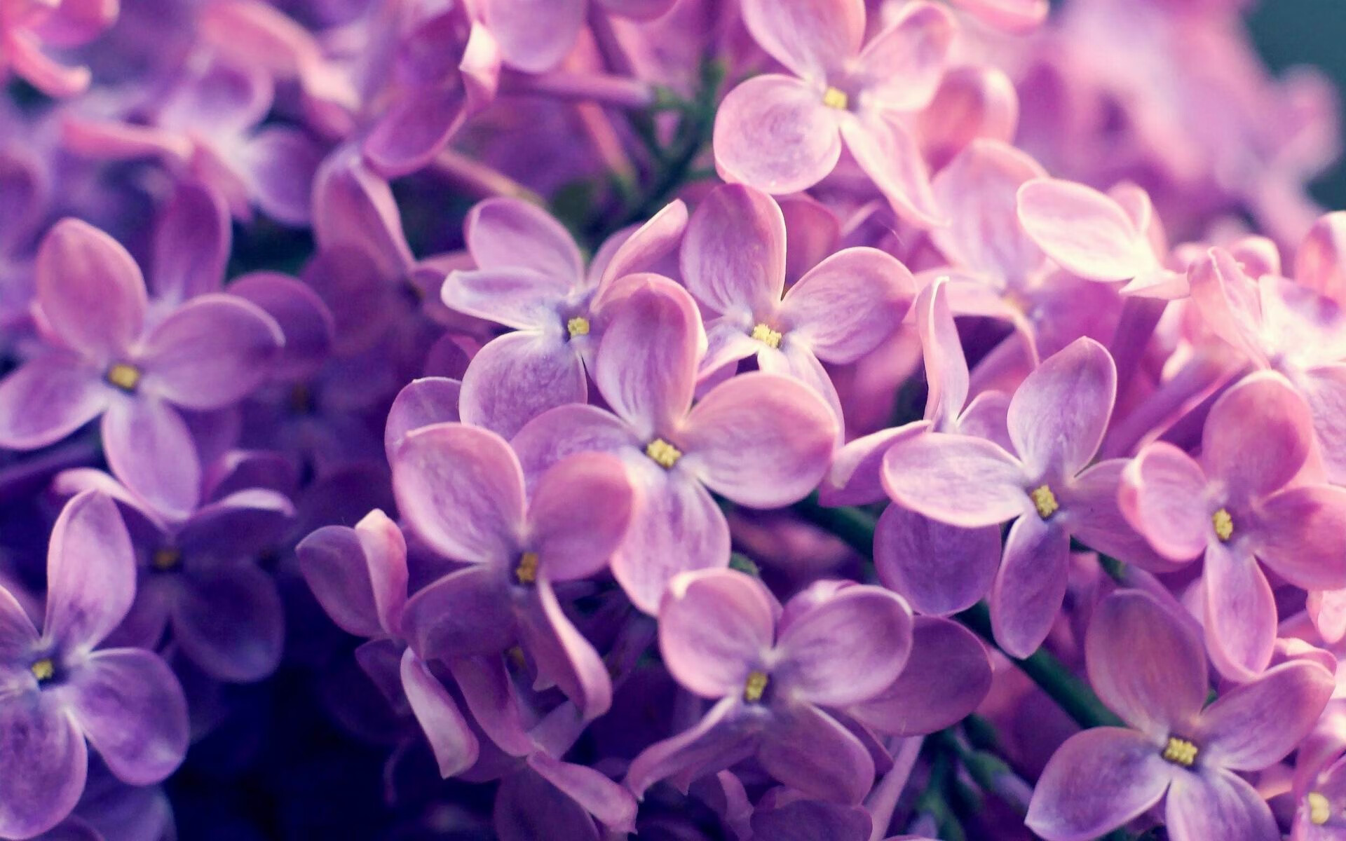 2025世俱杯赛程表-意大利足球俱乐部推出精美球迷周边产品，畅销一时，意大利足球品牌有哪些