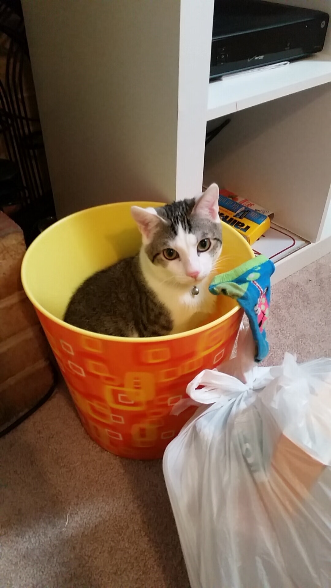 2025世俱杯赛程表-森林狼球队进攻节奏持续提升，森林狼队伍