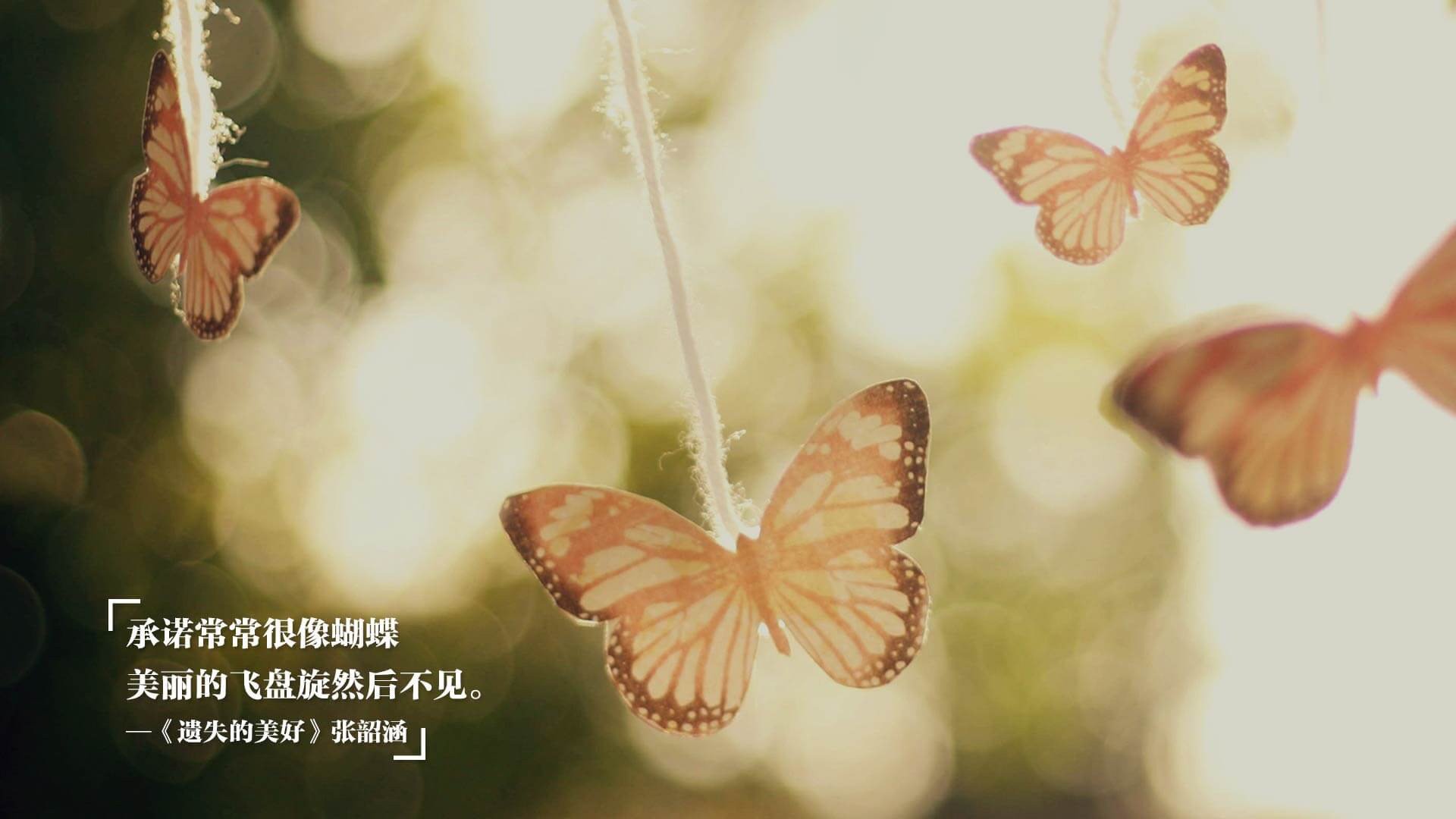 维克托·文班亚马(Victor Wembanyama)当选2024年NBA最佳新秀,nba2002年最佳新秀