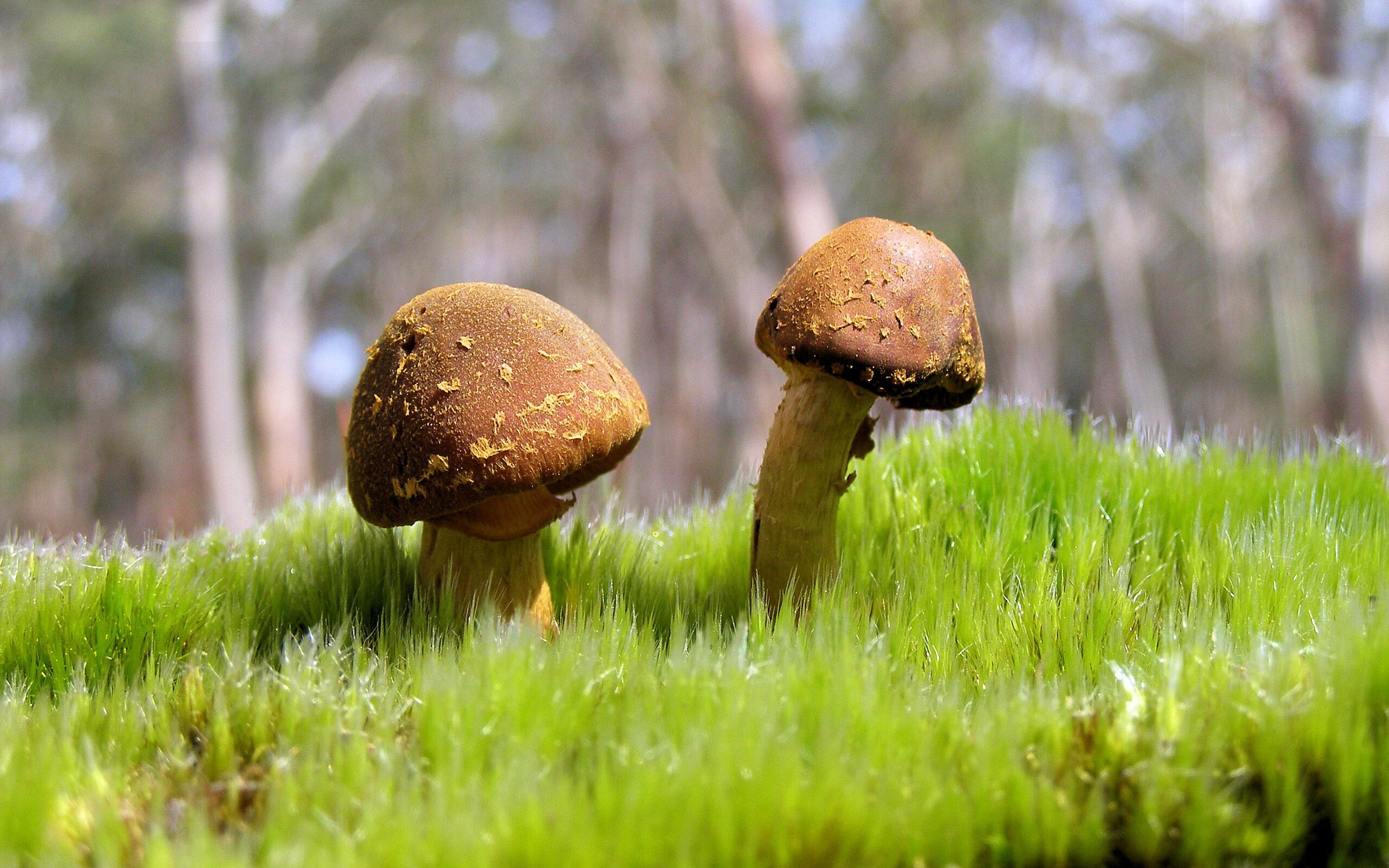 俱乐部冠军杯官网-足球場上的激烈對抗，波濤洶湧的熱血時刻，足球赛激烈怎么形容