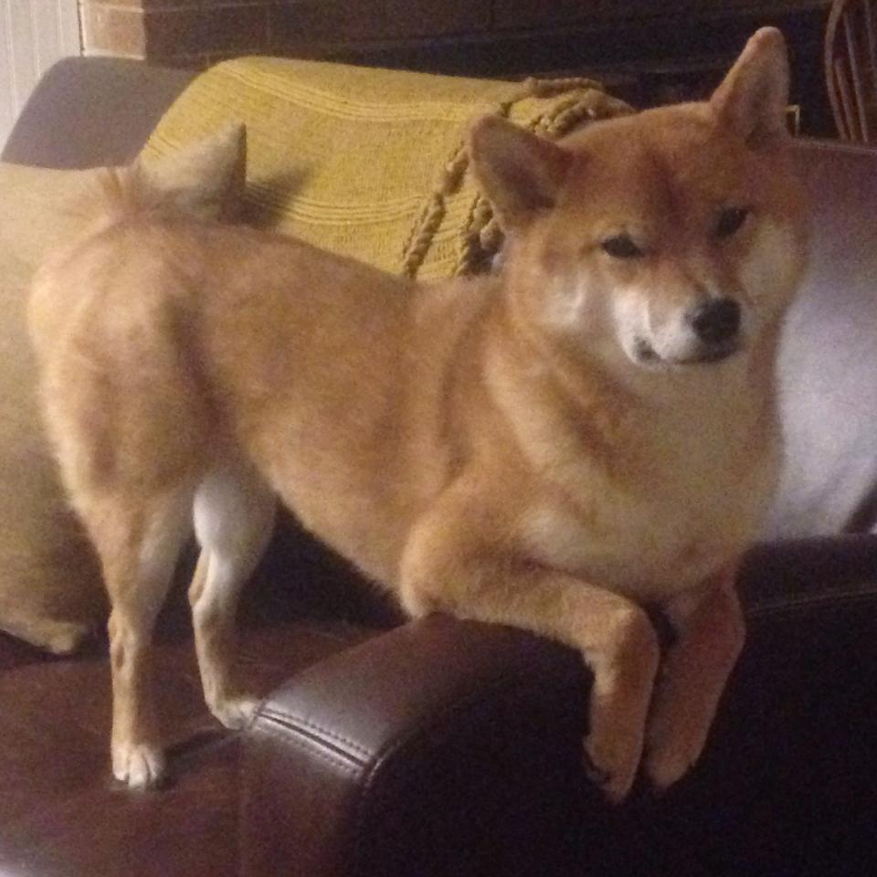 世俱杯官网-法甲青训中引入多模态生理数据分析评估抗压能力