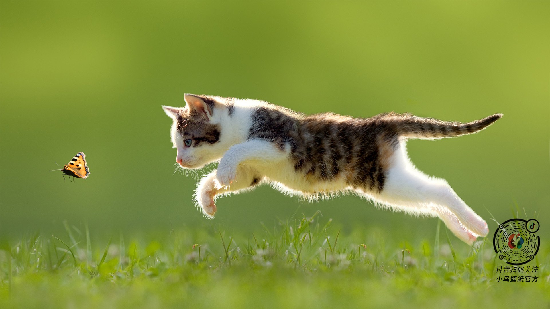 全国攀岩公开赛高水平选手齐聚一堂,攀岩资格赛