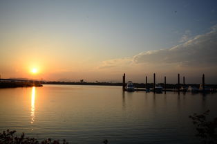 世俱杯-千帆竞发，轻艇马拉松点亮湖滨赛场，赛艇马拉松多少公里