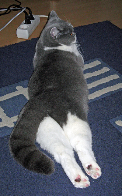 国际热身赛中国队惨败 技术复盘成焦点,国际热身赛赛程