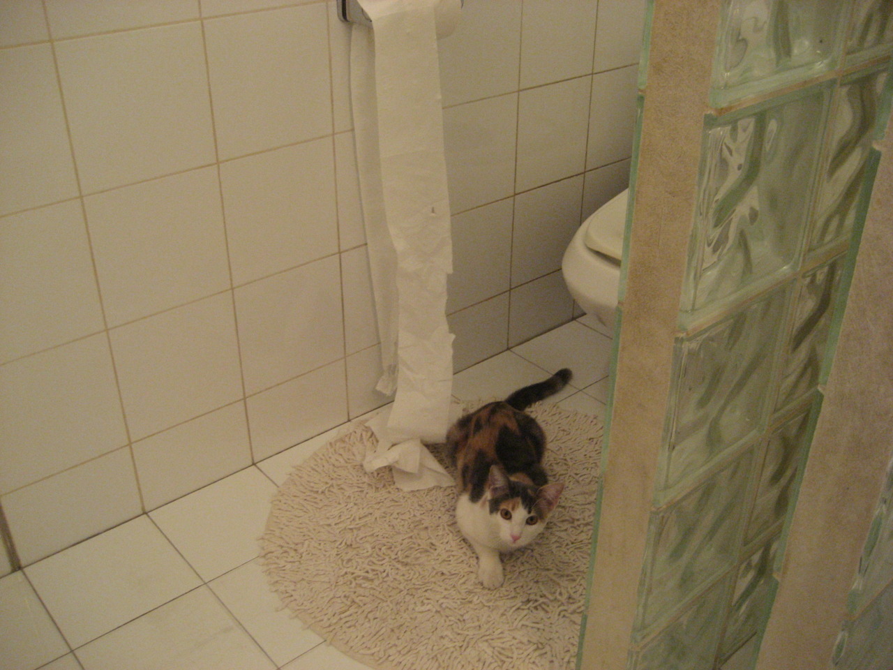 世俱杯直通-埃及乒乓队未来：技术提升与战术更新并行，埃及乒乓球男团名单