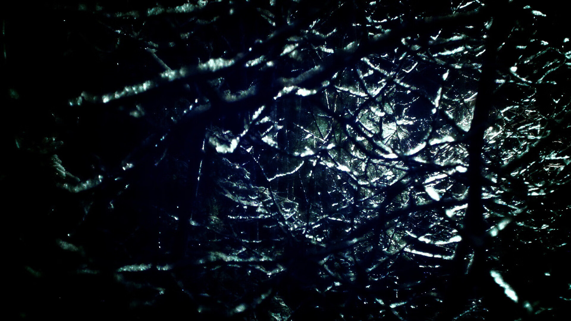 世俱杯官方-深圳领航队抓住转换机会迅速打开局面，深圳领航科技有限责任公司