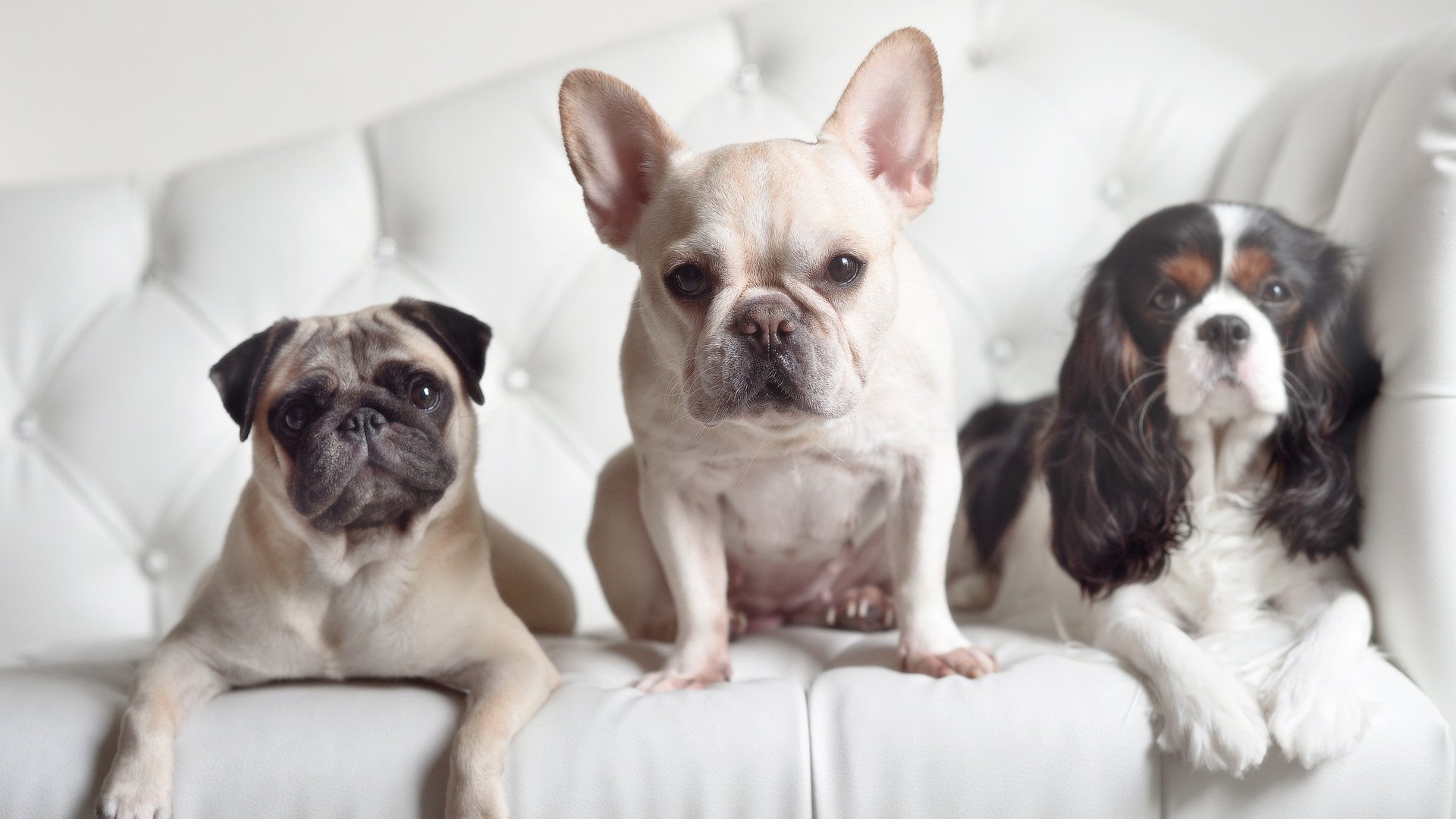 世俱杯直播-克洛普不断探索战术创新，追求团队最高荣誉